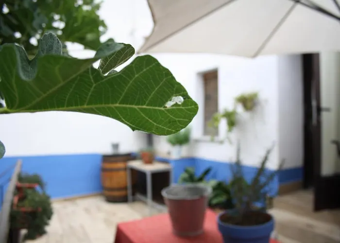 Apts La Canada Birding Con Encanto Y Patio En Monfrague