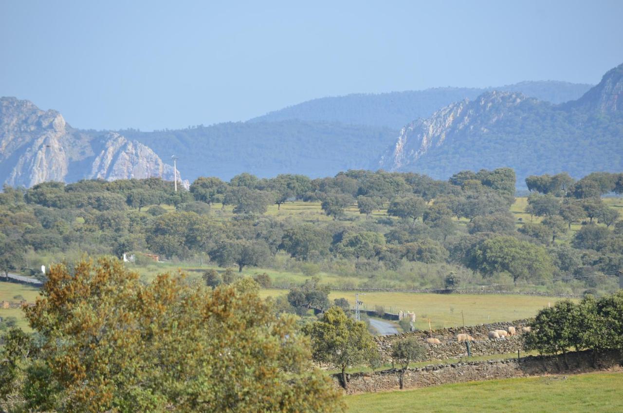 Apts La Canada Birding Con Encanto Y Patio En Monfrague Torrejon el Rubio