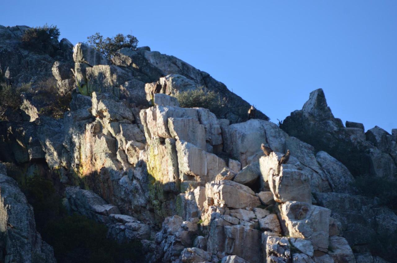 Apts La Canada Birding Con Encanto Y Patio En Monfrague *