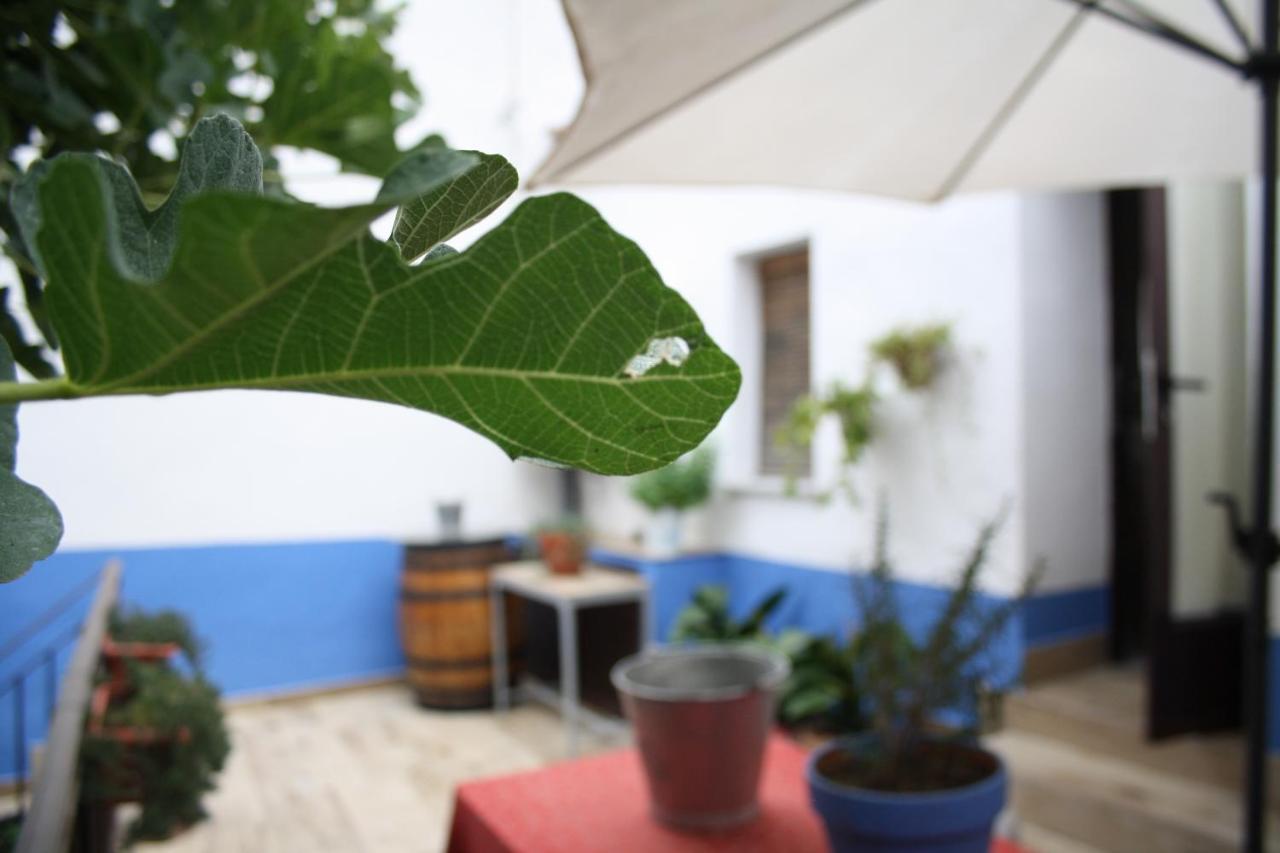 Apartment Apts La Canada Birding Con Encanto Y Patio En Monfrague *